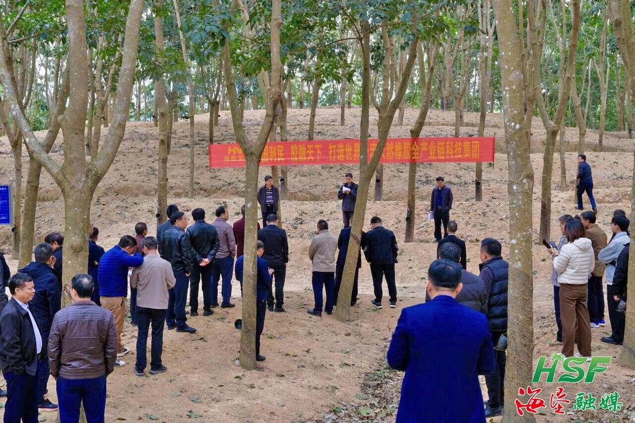 1703725844247058253.jpg 1703725844247058253.jpg